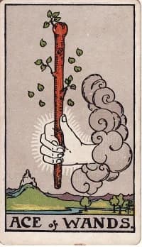 权杖王牌 Ace of Wands 塔罗牌