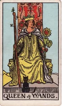 权杖王后 Queen of Wands 塔罗牌