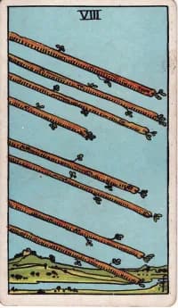 权杖8 8 of Wands 塔罗牌