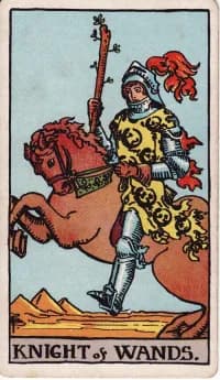 权杖骑士 Knight of Wands 塔罗牌