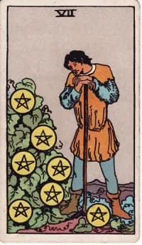 星币7 7 of Pentacles 塔罗牌